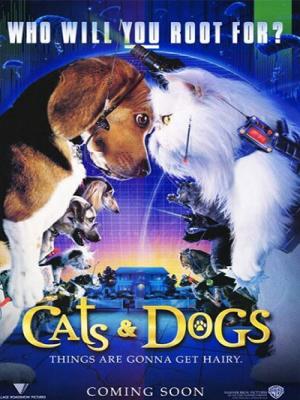 movie-card