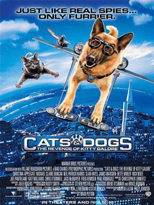 movie-card