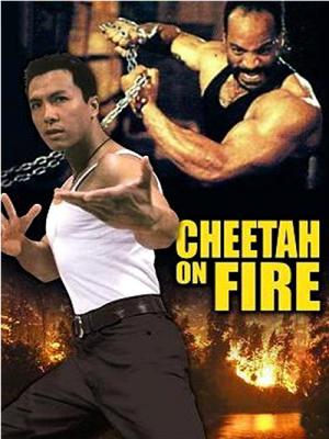 movie-card