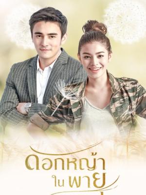movie-card