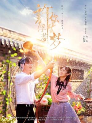 movie-card