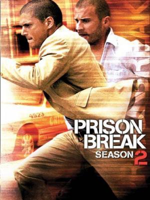 movie-card