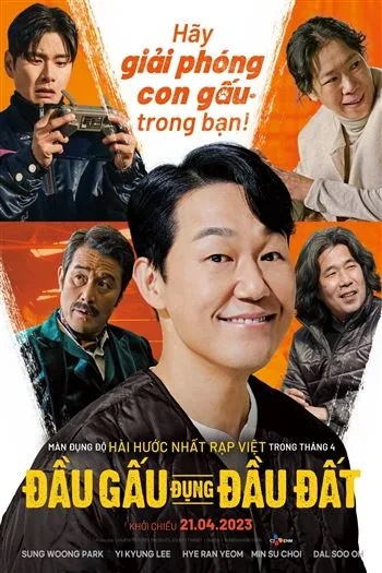 Đầu Gấu Đụng Đầu Đất