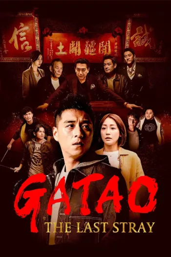 movie-card